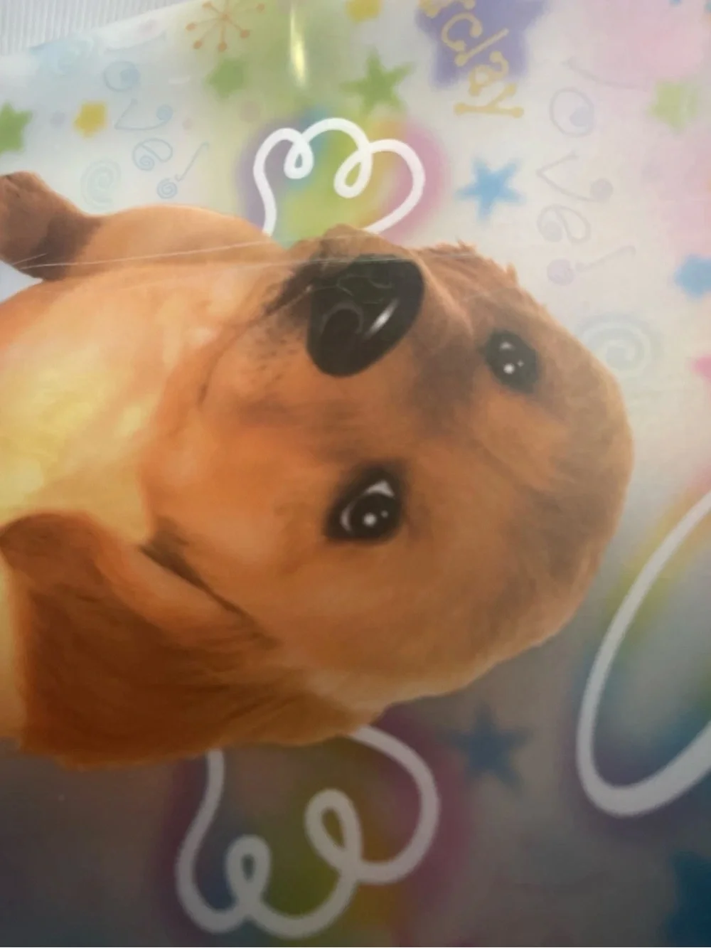 Rare Vintage Y2K  Lisa Frank Golden Retriever Puppy 3 Ring Zip Binder With Charm